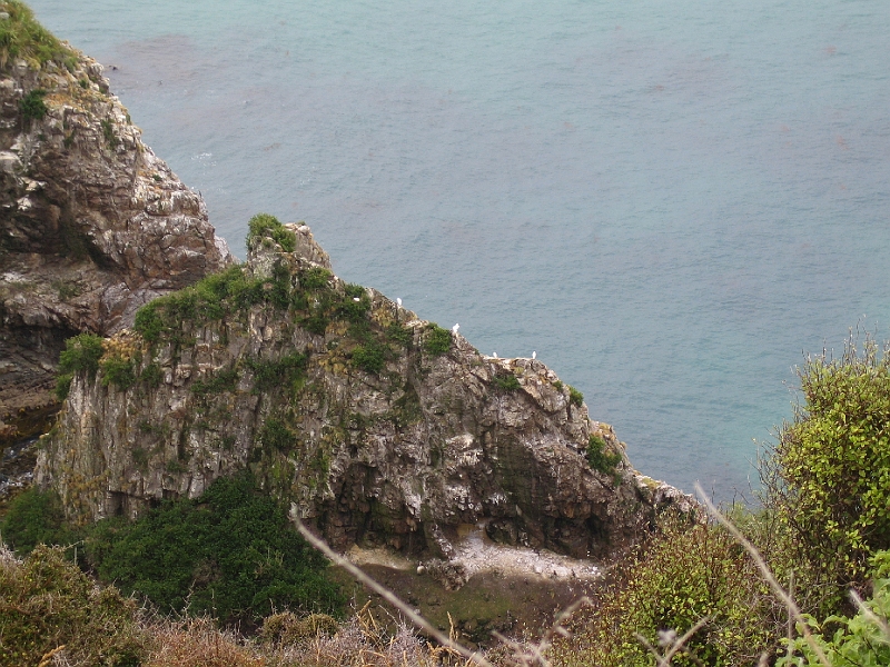 IMG_1944.JPG - Nugget Point