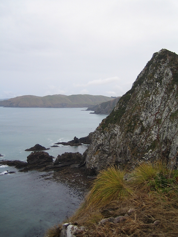 IMG_1951.JPG - Nugget Point