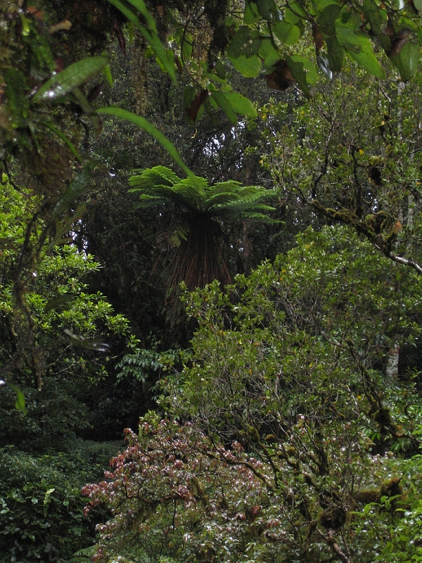 IMG_1970.JPG - Parakaunui Falls