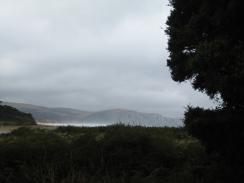 IMG_1975.JPG - Papatowai beach