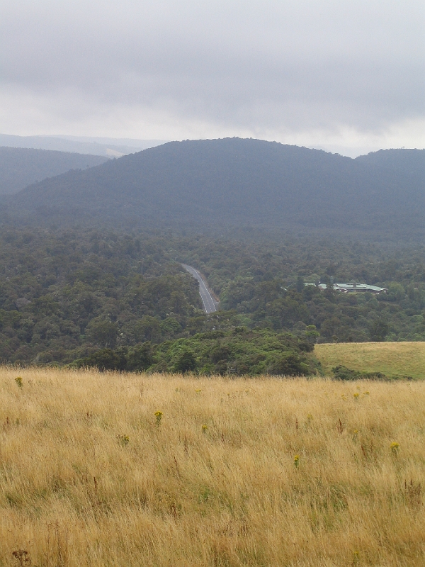 IMG_1977.JPG - Florence Hill Lookout