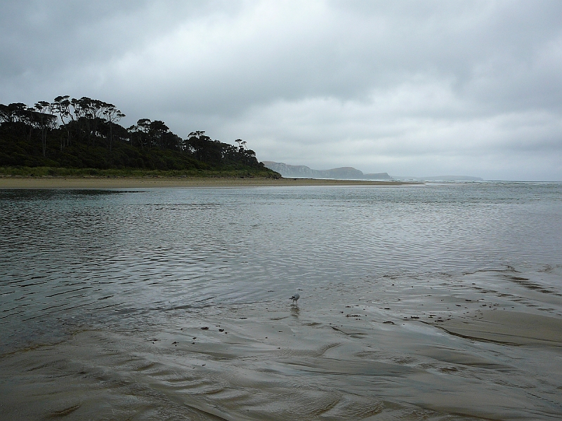 P1010830.JPG - Papatowai beach