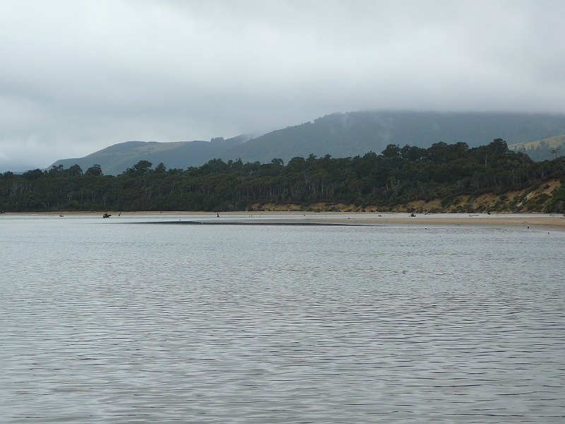 P1010833.JPG - Papatowai beach