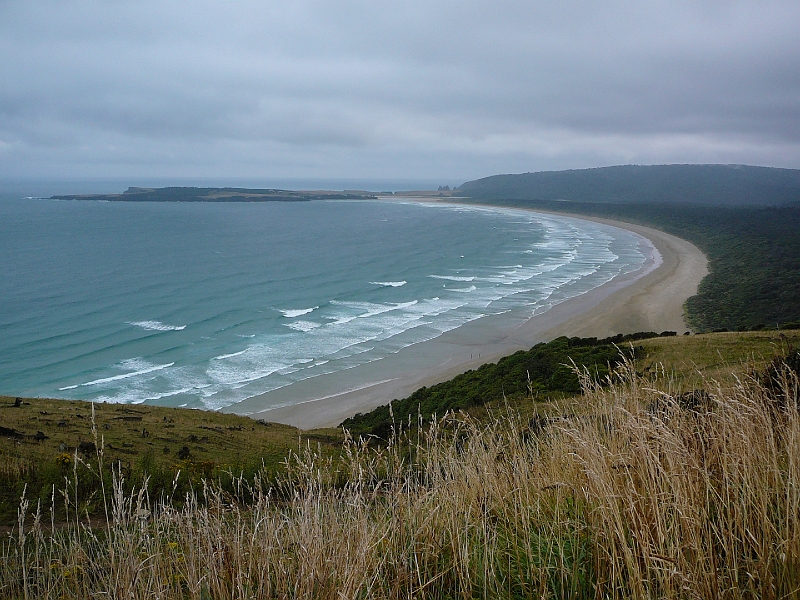 P1010834.JPG - Florence Hill Lookout - overlooking Tautuku Bay