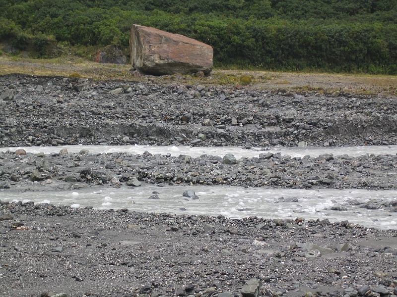 IMG_2216.JPG - The walk to Fox Glacier: ice in the river