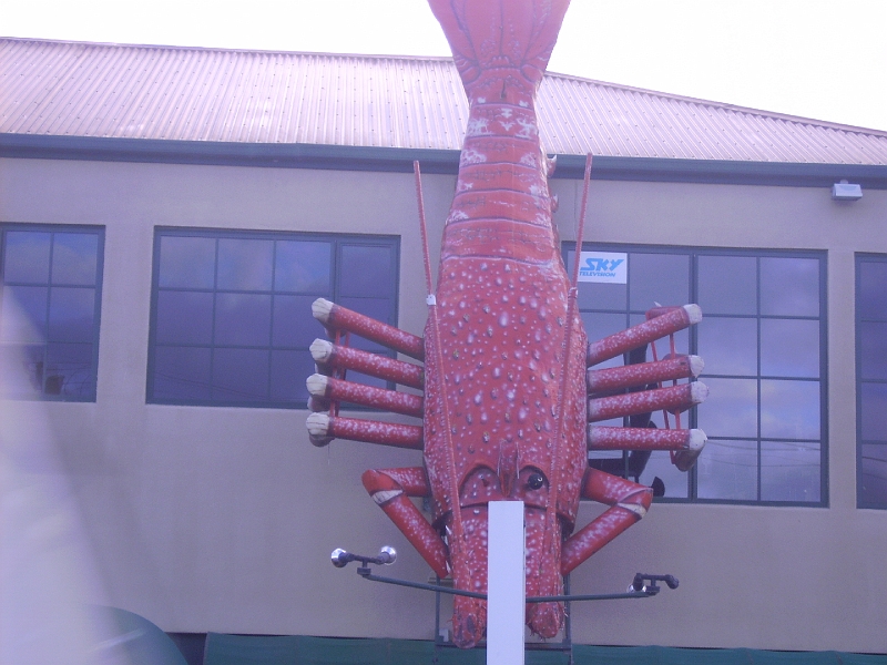 PICT2754.JPG - Kaikoura