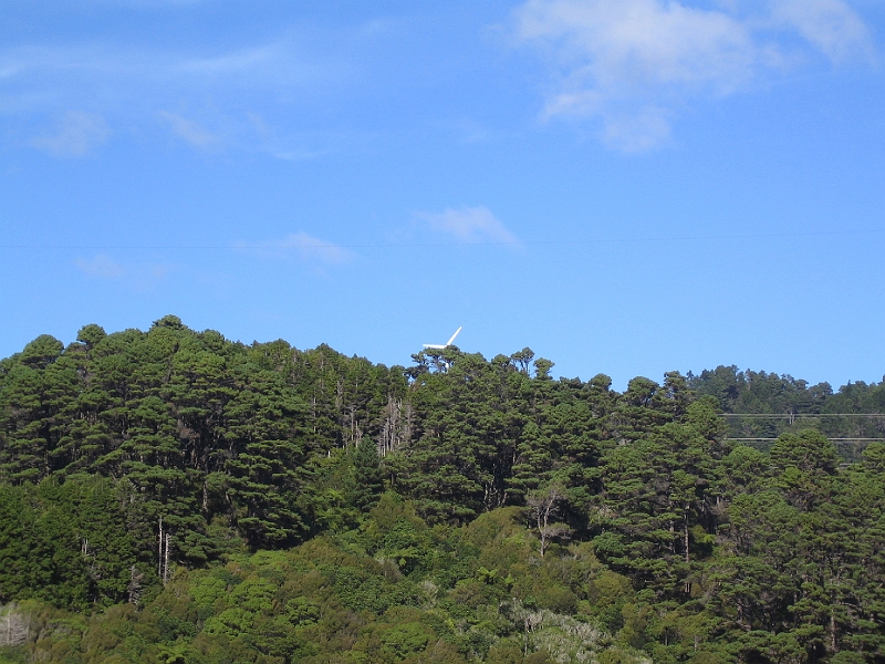 IMG_2388.JPG - Karori