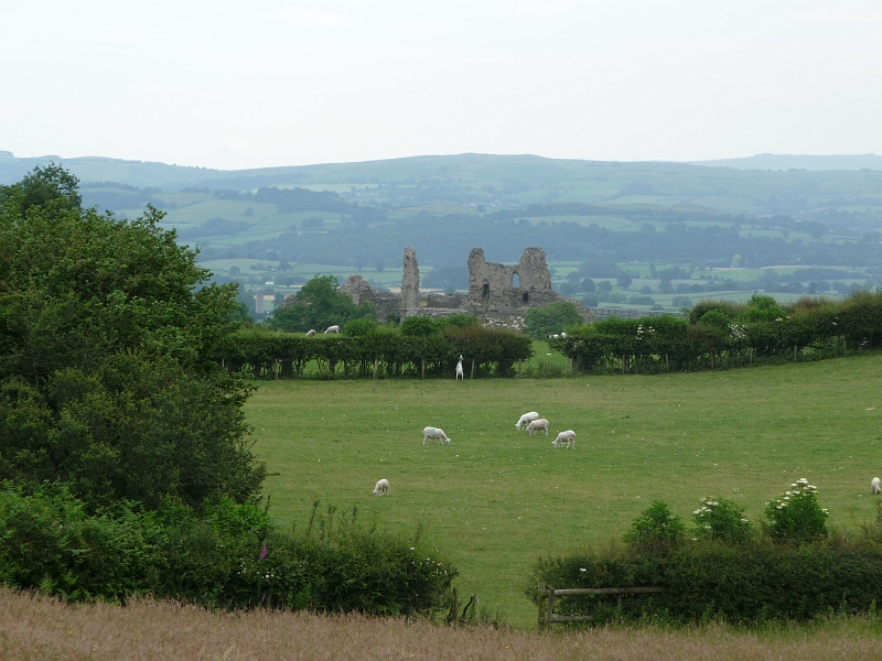 P1000347.JPG - On the way down: Montgomery castle