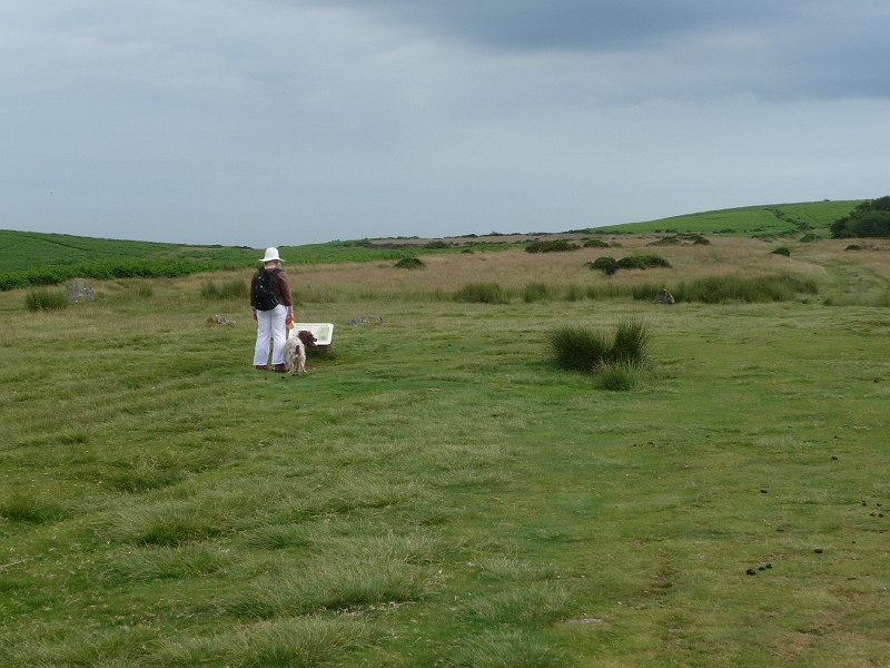 P1000375.JPG - Mitchell's Fold stone circle (looking north): Sue and Snowy