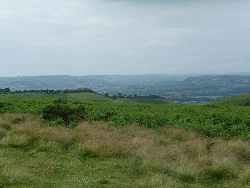 P1000376.JPG - From Mitchell's Fold stone circle: looking west