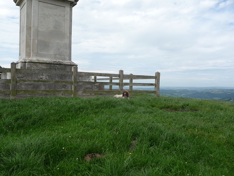P1000420.JPG - Montgomeryshire War Memorial: Snowy