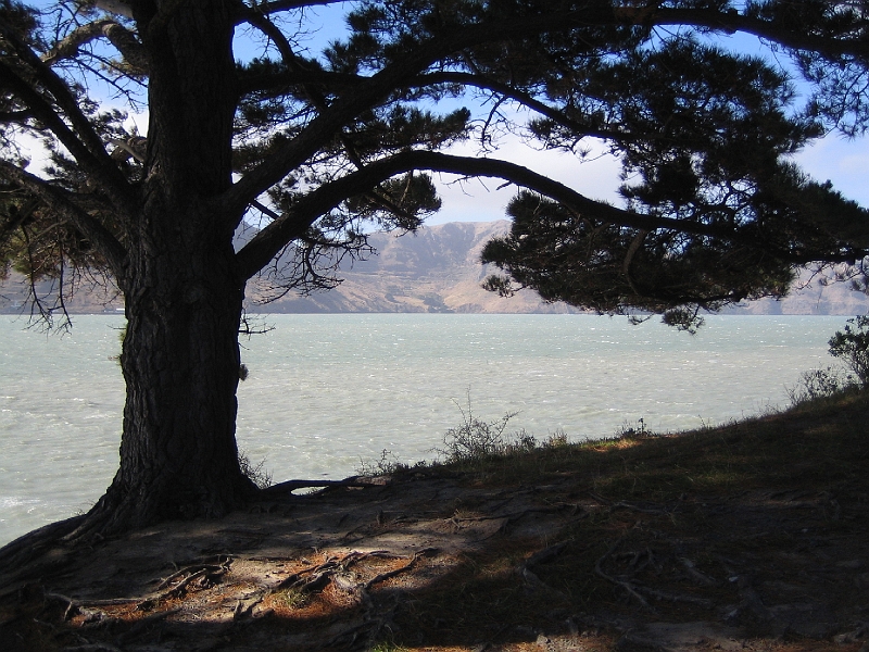 IMG_1928.JPG - Diamond Harbour