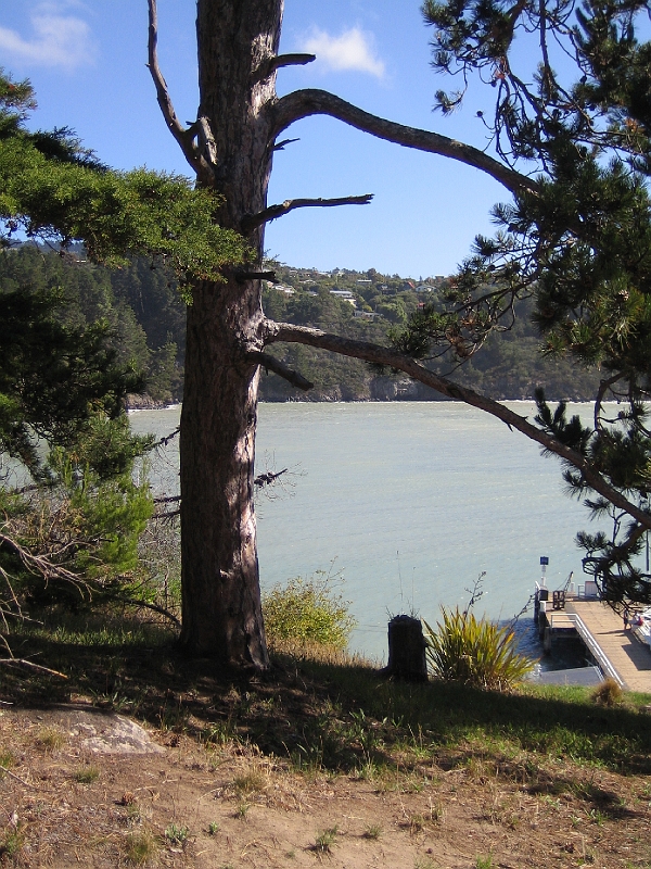IMG_1929.JPG - Diamond Harbour