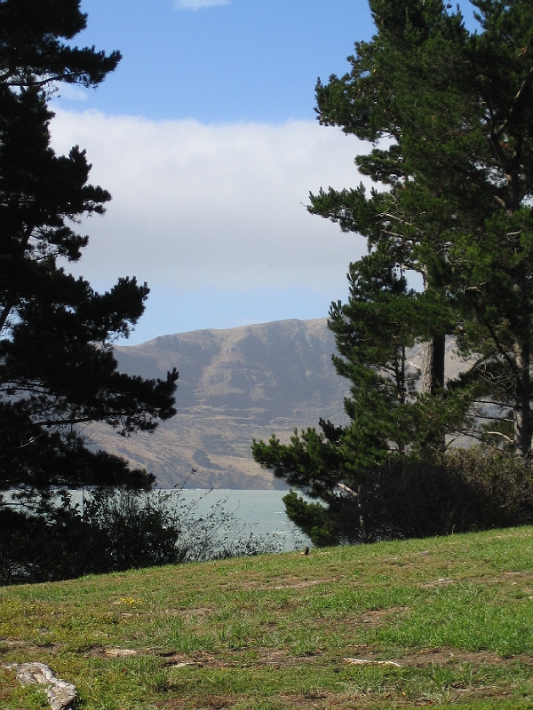 IMG_1931.JPG - Diamond Harbour