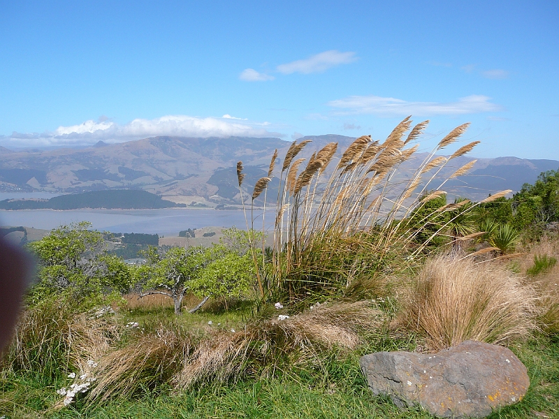 P1010730.JPG - Lyttelton Harbour from the Port Hills