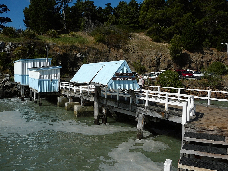 P1010733.JPG - Diamond Harbour
