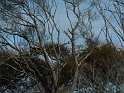 P1010723