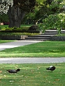 P1010739