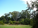 P1010745