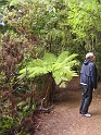 IMG_1938