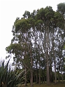 IMG_1940