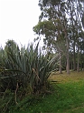 IMG_1941