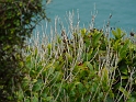 P1010780