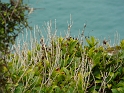 P1010783