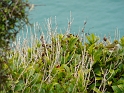 P1010784