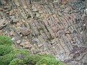 P1010794