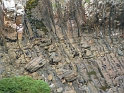 P1010796