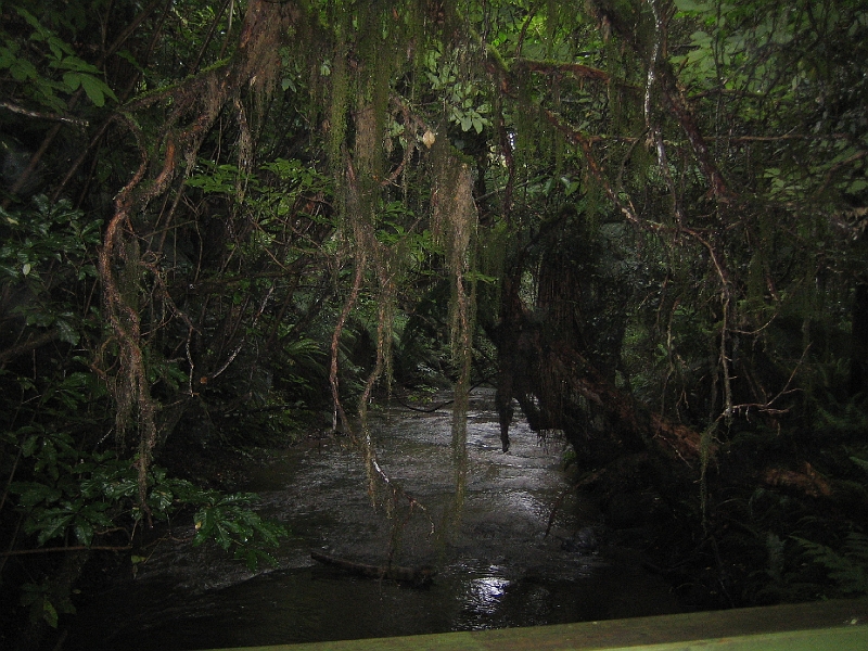 IMG_1960.JPG - Parakaunui Falls