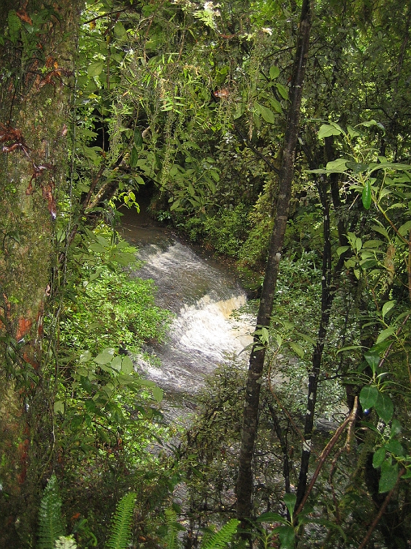 IMG_1964.JPG - Parakaunui Falls
