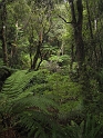 IMG_1962