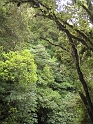 IMG_1966