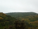 P1010804