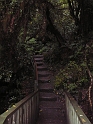 P1010817