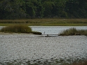 P1010843