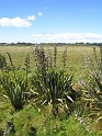 IMG_1982
