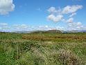 P1010847
