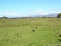 P1010852