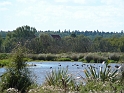 P1010853