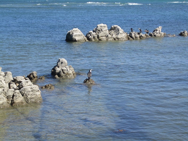 IMG_1992.JPG - South Bay, Kaikoura