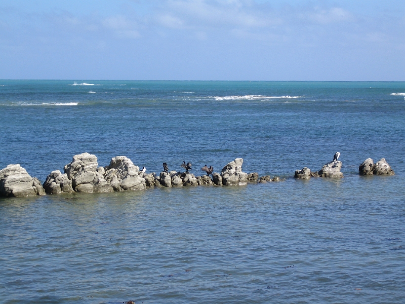 IMG_1993.JPG - South Bay, Kaikoura