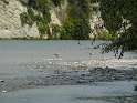 P1010860