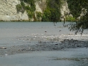 P1010861