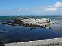 P1010866