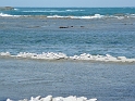 P1010869