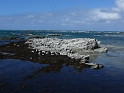 P1010870