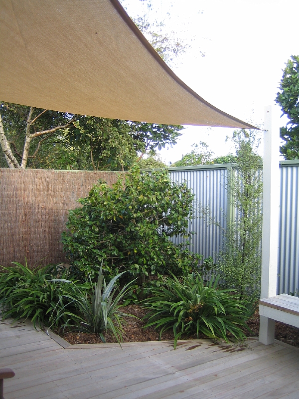 IMG_1997.JPG - Courtyard, motel room, Kaikoura